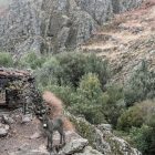 Stone hut and donkey